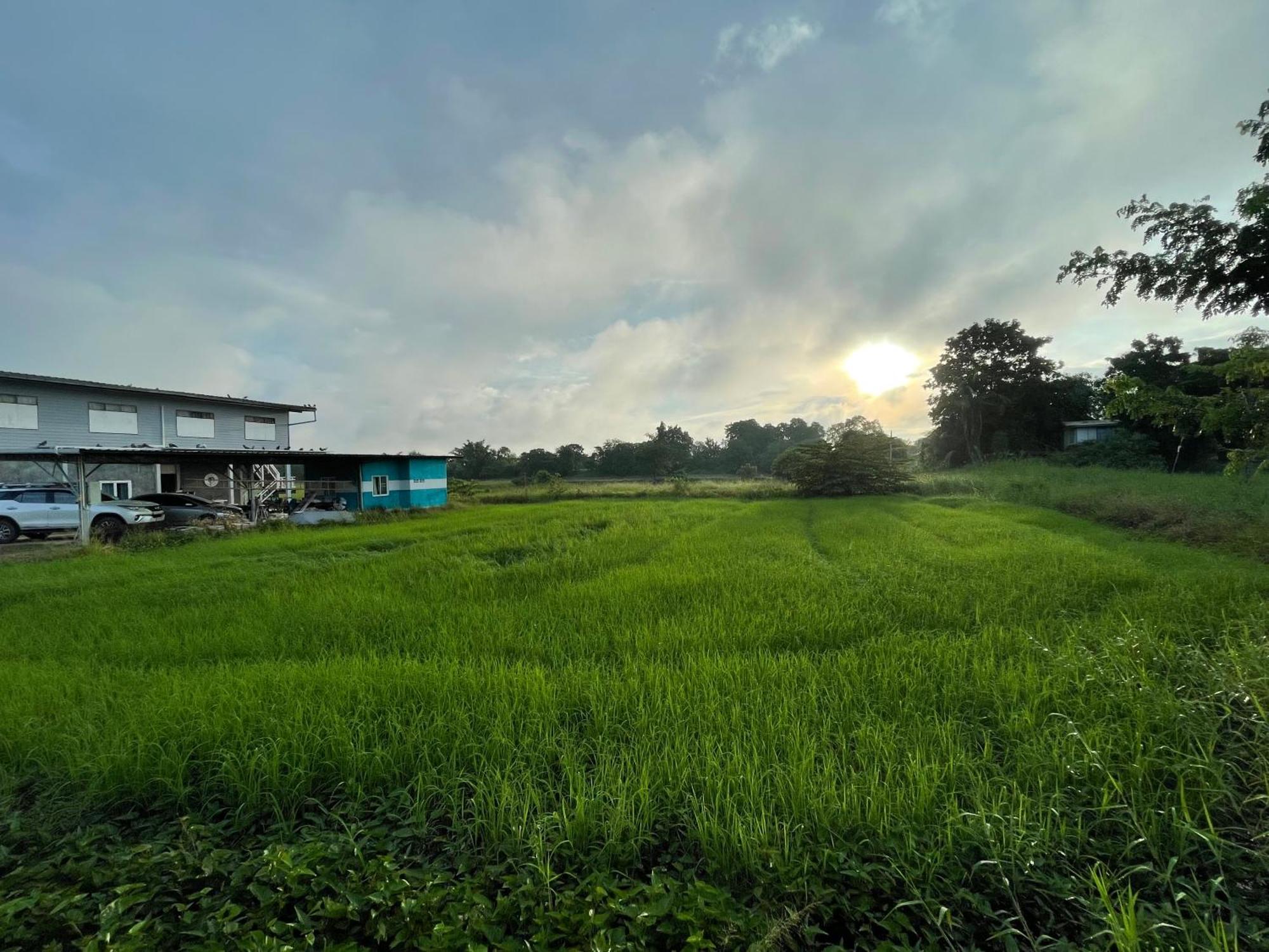 Srihome ยายศรีโฮมแอนแคมป์ปิ้ง Ban Don Tum Экстерьер фото